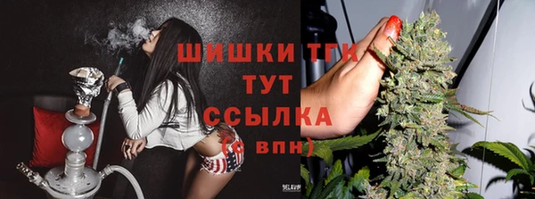 гидропоника Ельня