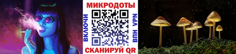 купить наркотики сайты  Инза  Галлюциногенные грибы Psilocybe 